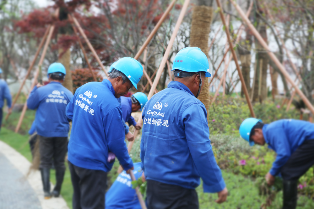 首页| 尊龙·Z6(中国集团)官方网站