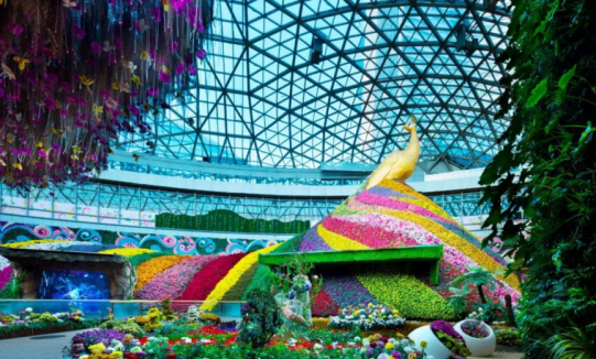 首页| 尊龙·Z6(中国集团)官方网站