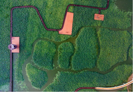 首页| 尊龙·Z6(中国集团)官方网站