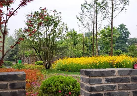 首页| 尊龙·Z6(中国集团)官方网站