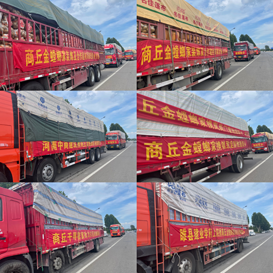 首页| 尊龙·Z6(中国集团)官方网站