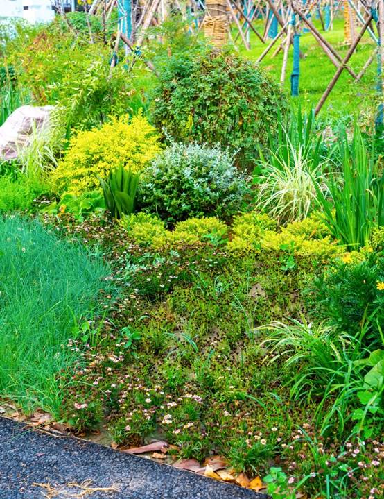 首页| 尊龙·Z6(中国集团)官方网站